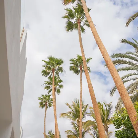 Апартаменты Calypso Fuerteventura