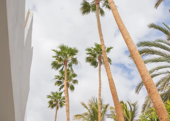 Appartamento Calypso Fuerteventura